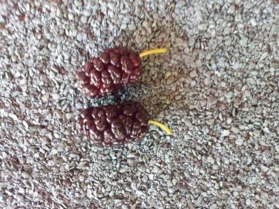 20130630_162954.jpg