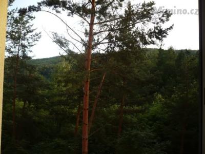 P1050246.JPG