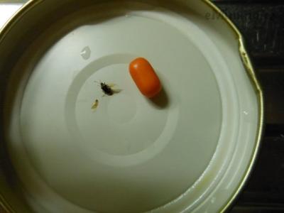DSCN4042.JPG