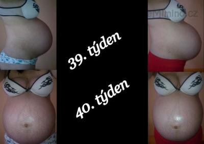 Nová složka8.jpg