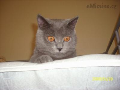 1223129575_igallery_image0000002--600x--logo--server-micinycz.jpg