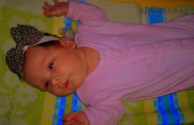 2013-07-03-1462.jpg