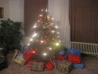 IMG_6475.JPG