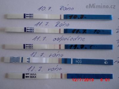 CIMG0803.JPG