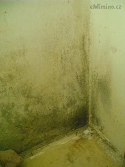 DSCF5757.JPG