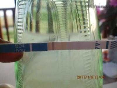 IMG_0773.JPG