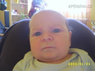S3600433.JPG