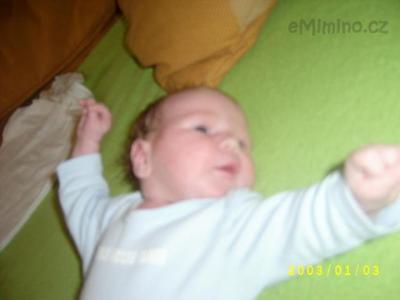 S3600440.JPG