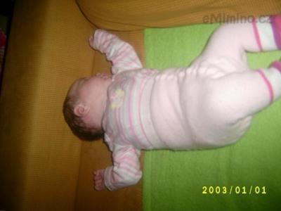 S3600441.JPG
