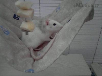 I