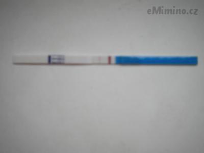 DSCN8875.JPG