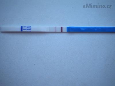 DSCN8881.JPG