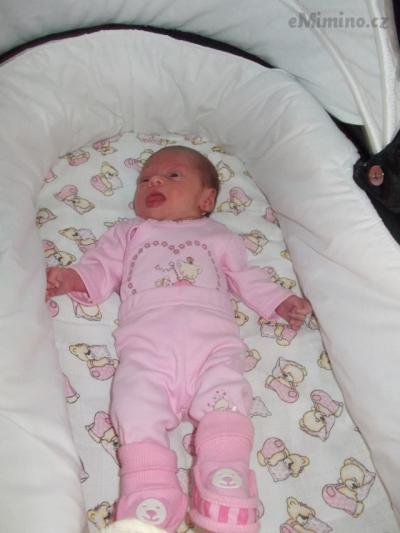 DSCN0927.JPG