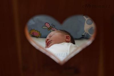 IMG_7157.jpg