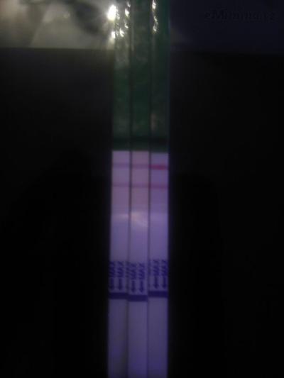 IMAG0884.jpg