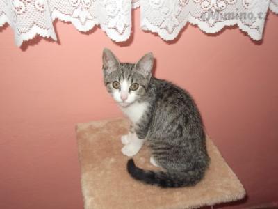 micka 056.JPG