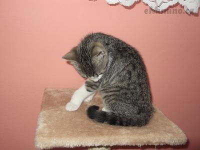 micka 058.JPG