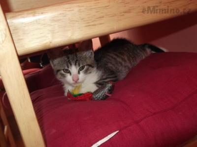 micka 003.JPG