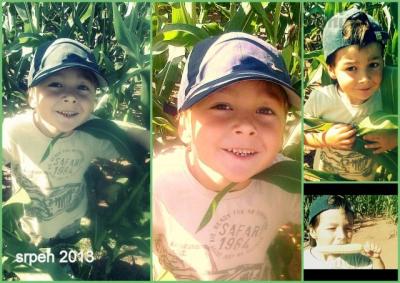 2013-08-16 srpen 1.jpg