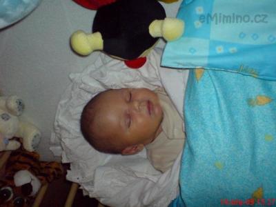 DSC00006.JPG