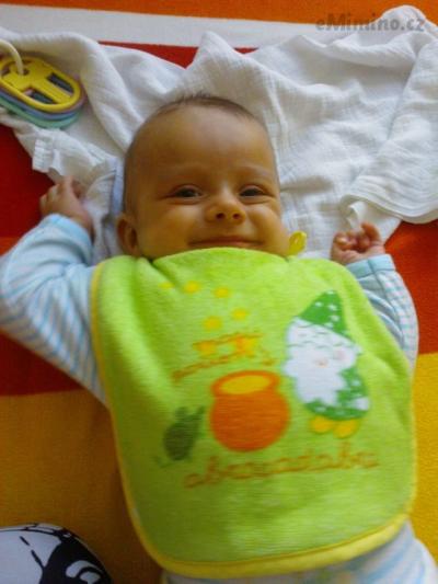 Sebík