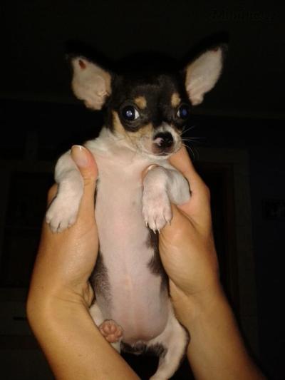 20130826_215426.jpg