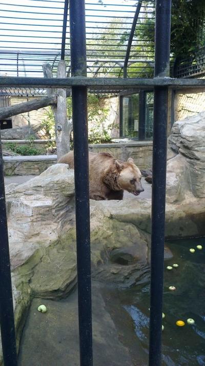 2013-08-24-3436.jpg