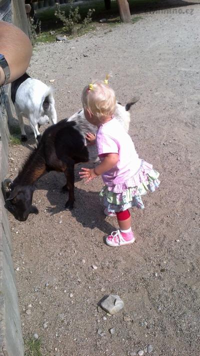 2013-08-24-3446.jpg