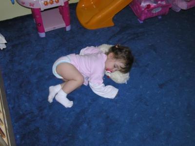 p5100619.jpg