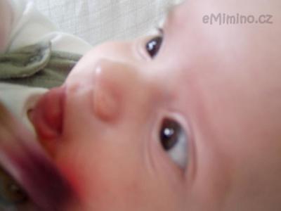 P1250205.JPG