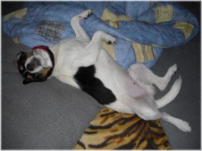 CIMG0195.jpg