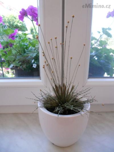 DSCN1314.JPG