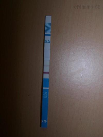 100_6543.JPG