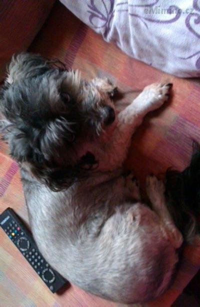 IMAG0838.jpg