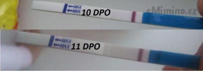10 a 11 DPO.jpg
