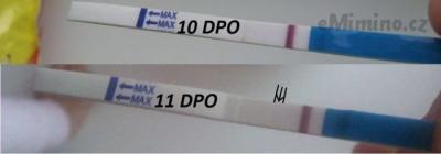 10 a 11 DPO – kopie.jpg