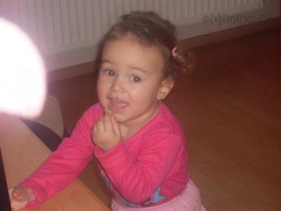 SDC11411.JPG