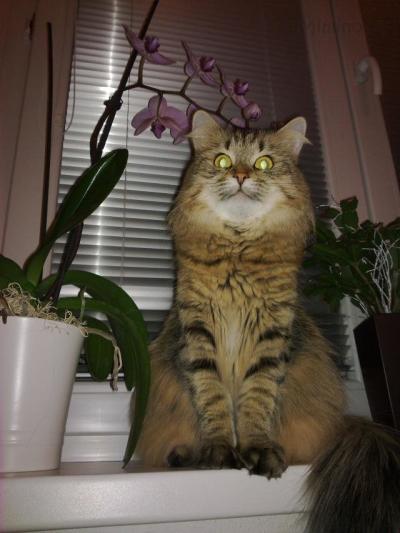 22012010020.jpg