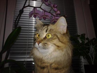22012010022.jpg