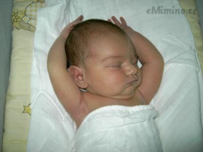 PICT6811.JPG