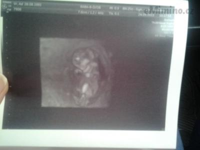 Fotografie1777.jpg
