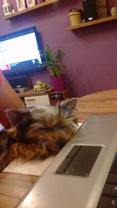 2013-09-17-3703.jpg