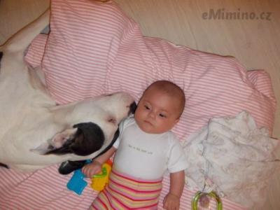 DSCN1708.JPG
