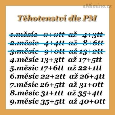 64903285.jpg
