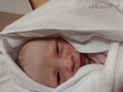 5.JPG