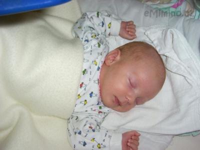 PICT0017.JPG