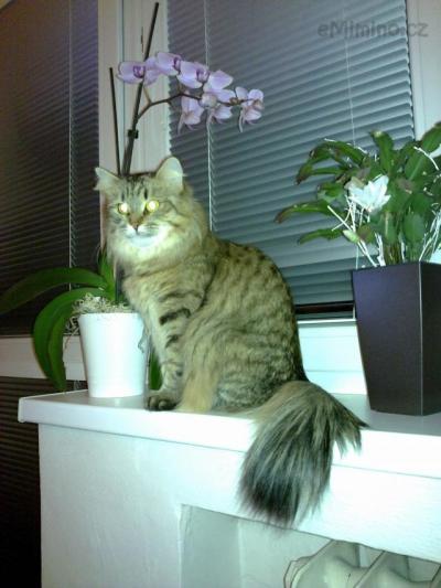 22012010025.jpg