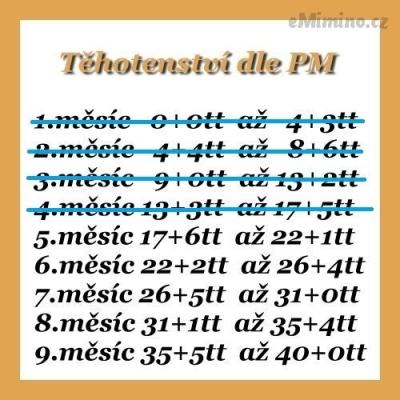 64903285.jpg