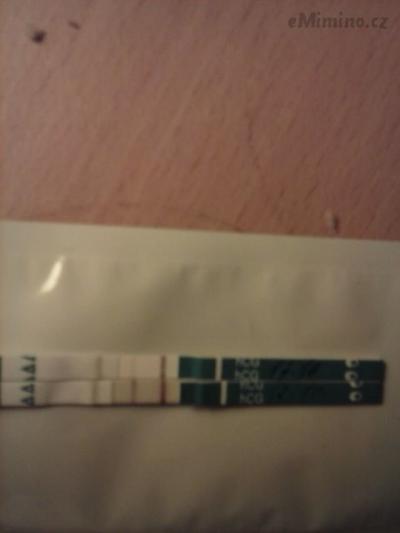 CAM00776.jpg