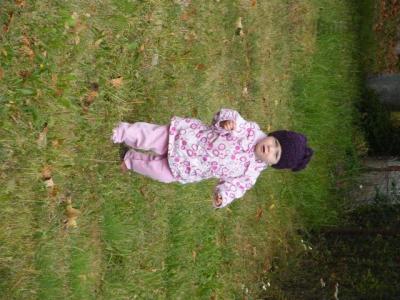 dscf3179.jpg